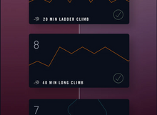 Încărcați o imagine în vizualizatorul galeriei: se tachina Rower