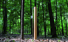 Load image into Gallery viewer, NOHRD Slimbeam - Oak