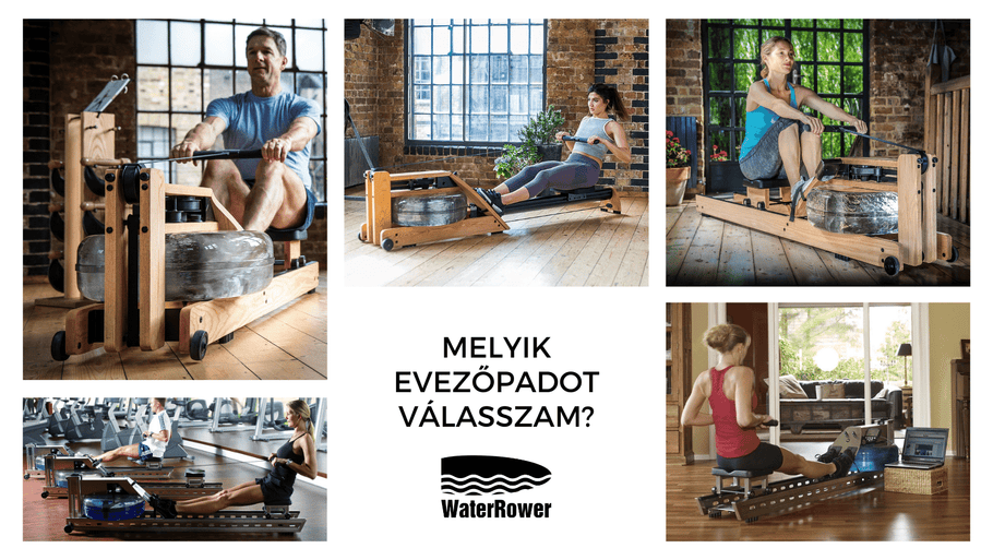 Which WaterRower rowing bench should I choose?