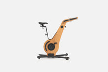 Load image into Gallery viewer, NOHRD Bike exercise bike - Cherry tree
